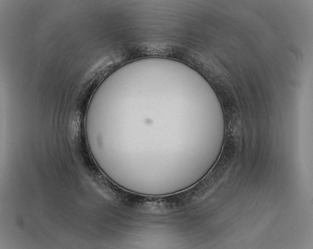 X0000113360744200910061040