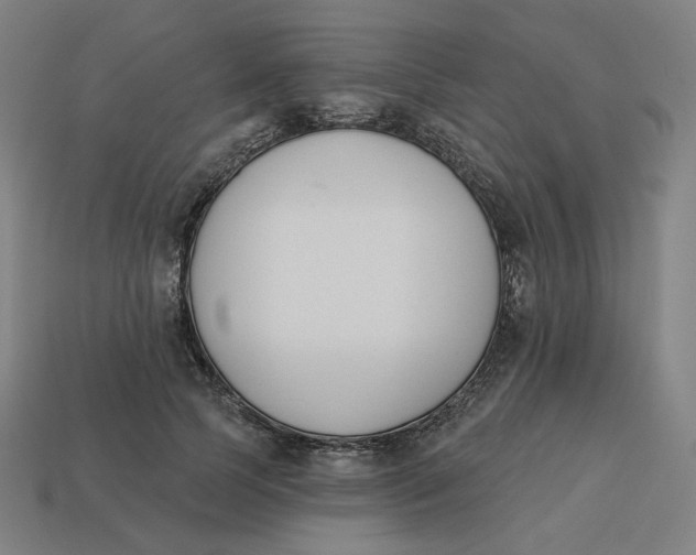 X0000113360745200910061040