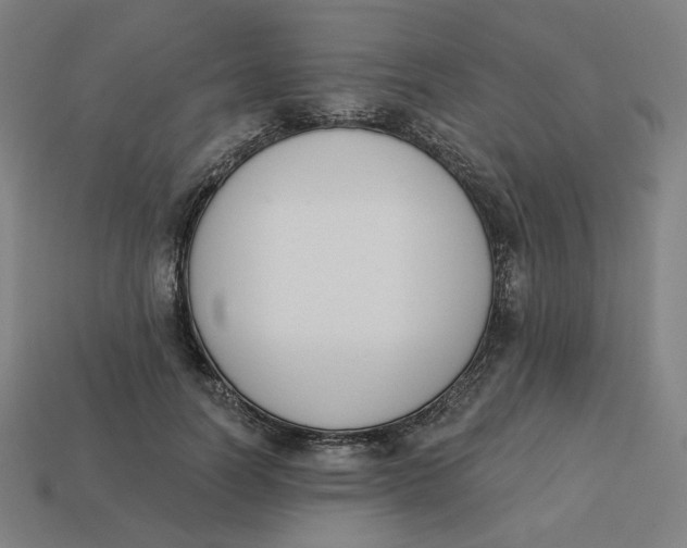 X0000113360746200910061040