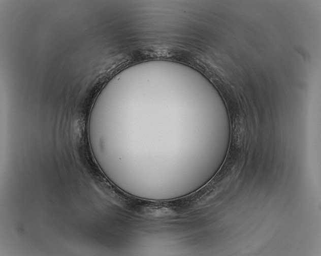 X0000113360747200910061040