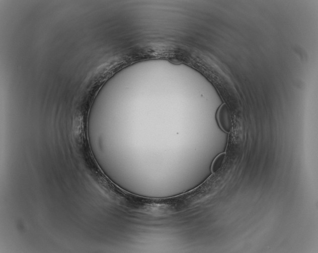 X0000113360748200910061040