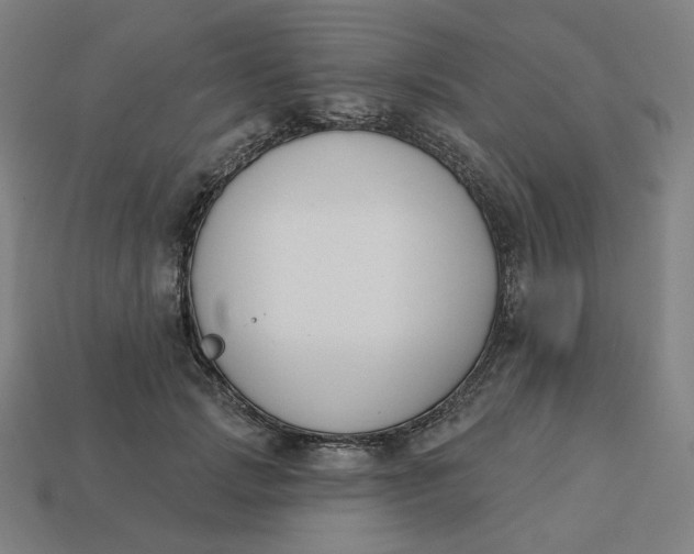 X0000113360749200910061040