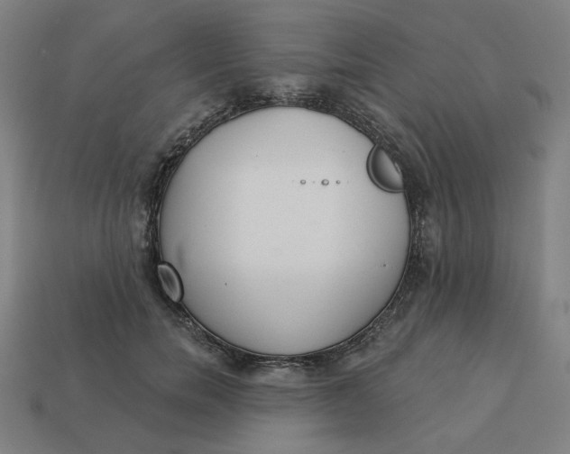 X0000113360750200910061040