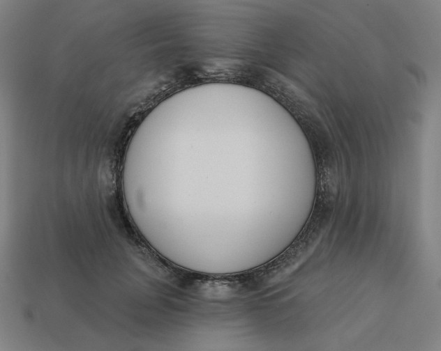 X0000113360751200910061040