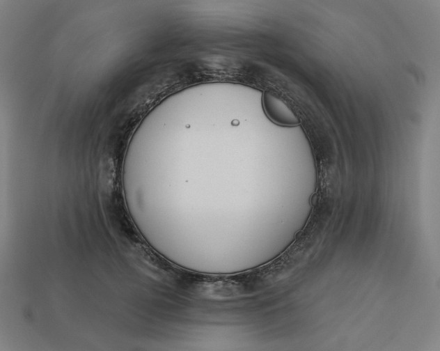 X0000113360752200910061040