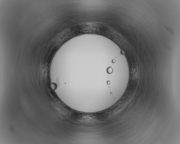 X0000113360753200910061040