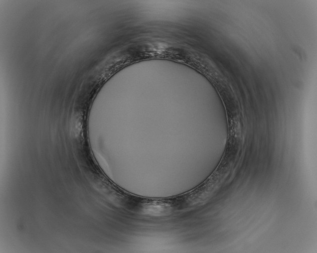 X0000113360754200910061040