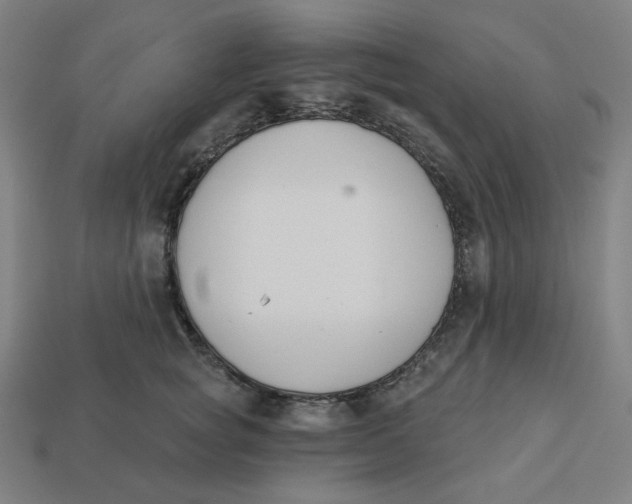 X0000113360757200910061040