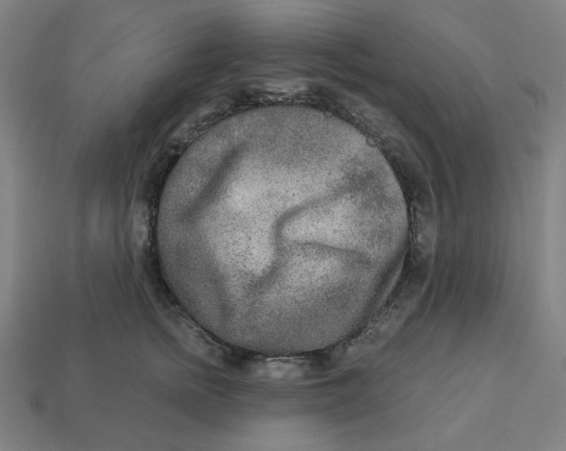 X0000113360758200910061040