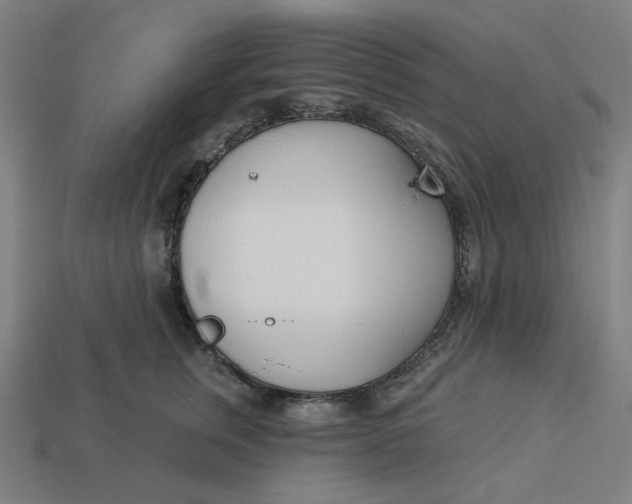 X0000113360759200910061040