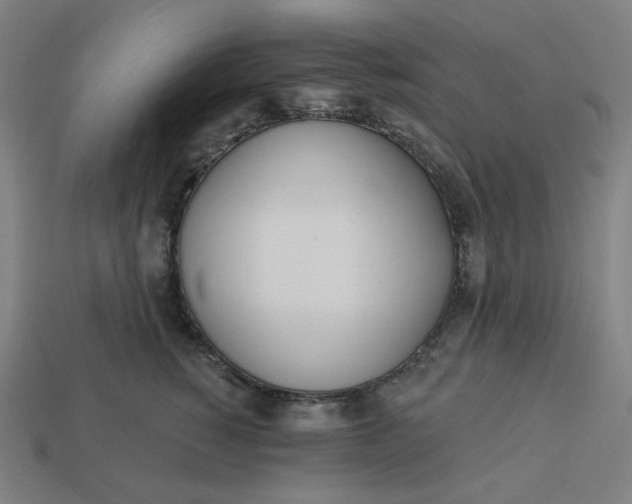 X0000113360760200910061040