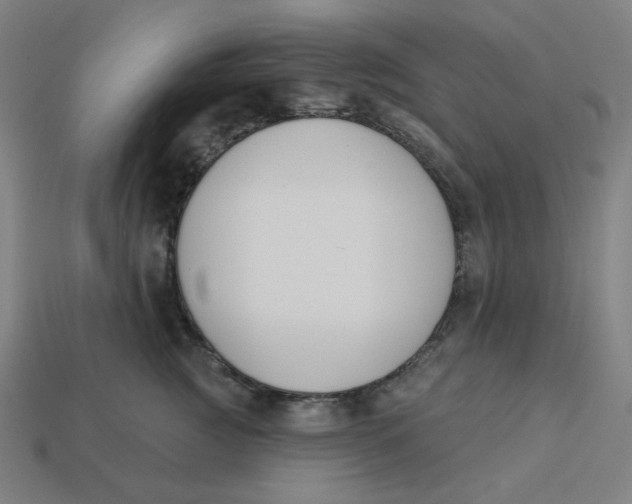 X0000113360761200910061040