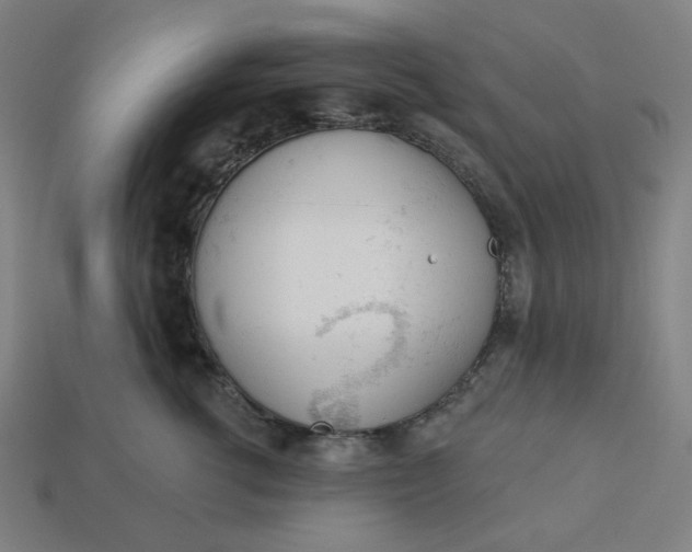 X0000113360762200910061040