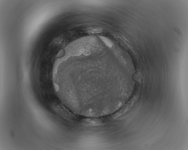 X0000113360763200910061040