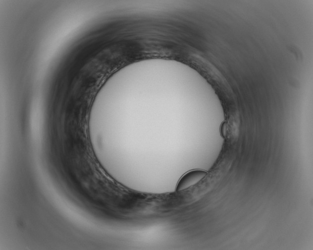 X0000113360764200910061040