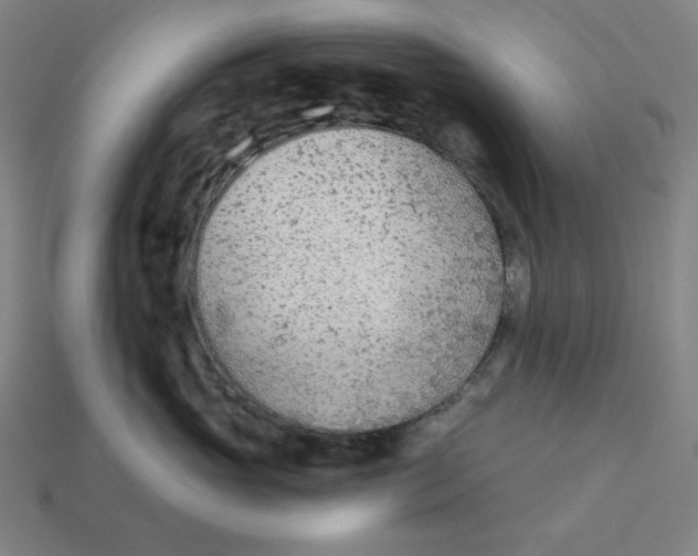 X0000113360765200910061040