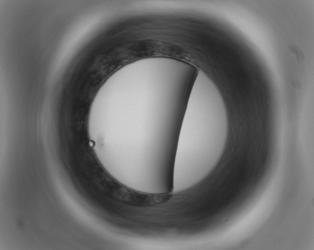 X0000113360766200910061040