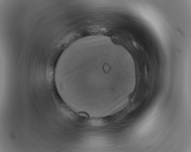 X0000113360767200910061040