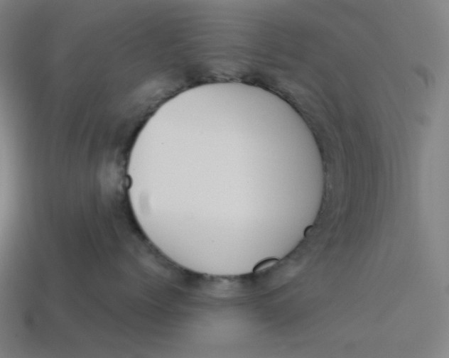 X0000113360768200910061040