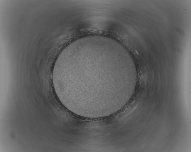 X0000113360769200910061039