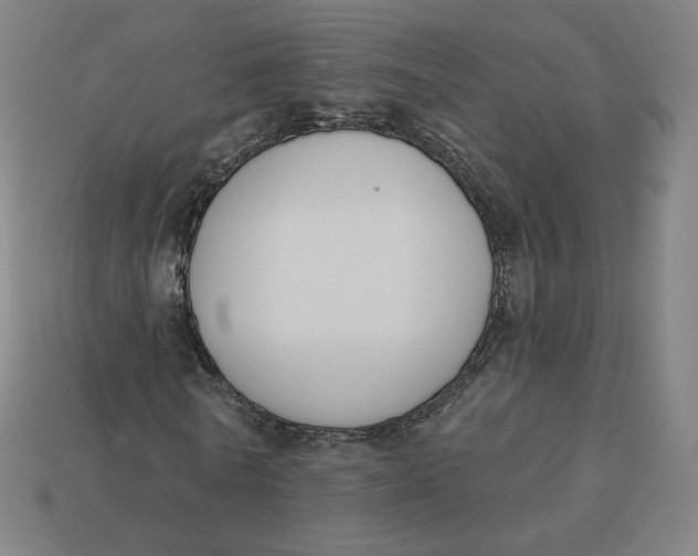 X0000113360770200910061039