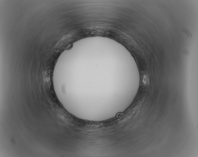 X0000113360771200910061039