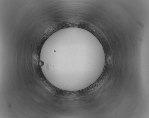 X0000113360772200910061039