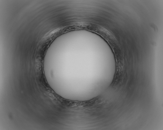 X0000113360773200910061039