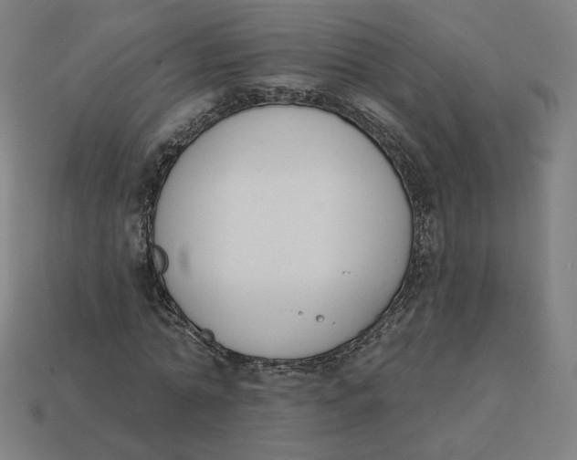 X0000113360774200910061039