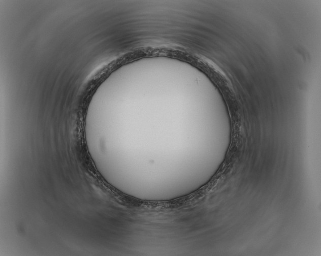 X0000113360775200910061039