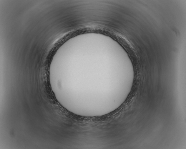 X0000113360776200910061039