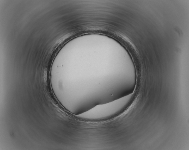 X0000113360777200910061039