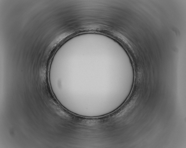 X0000113360778200910061039