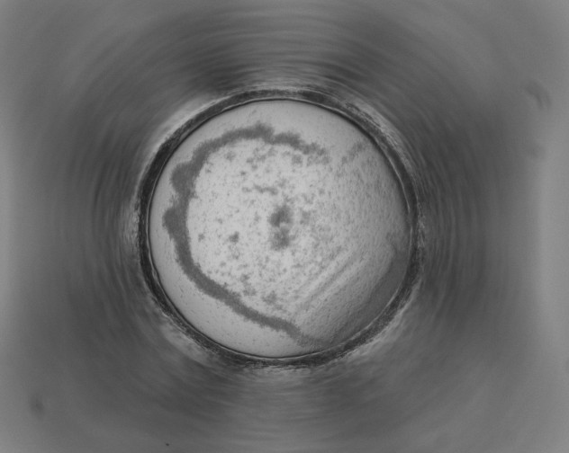 X0000113360779200910061039