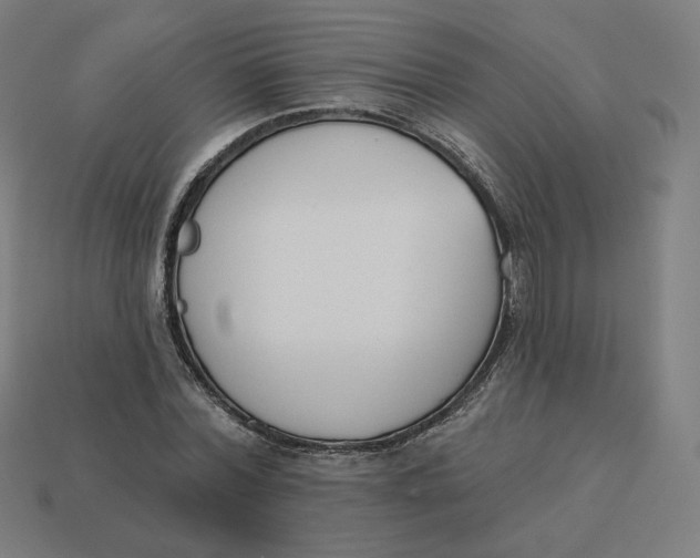 X0000113360780200910061039