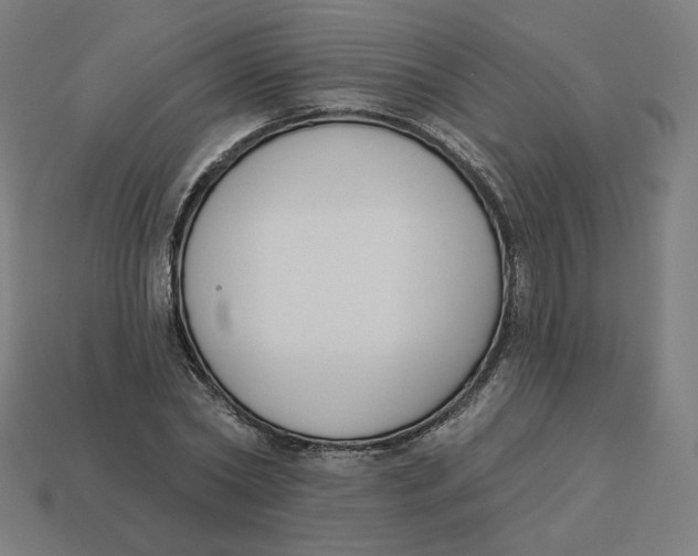 X0000113360782200910061039