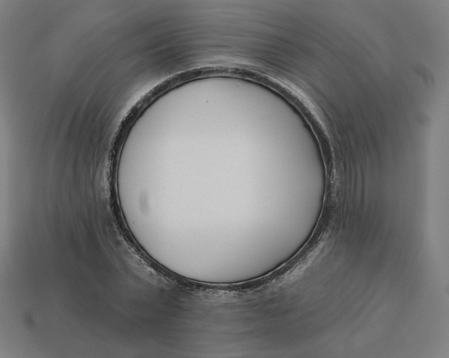 X0000113360783200910061039