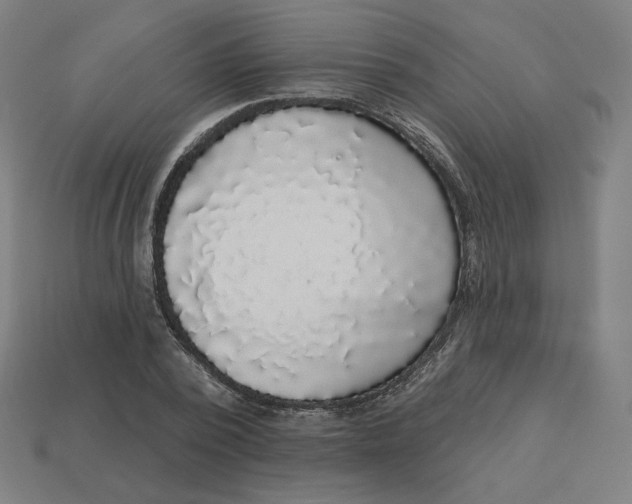 X0000113360784200910061039