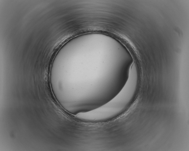 X0000113360785200910061039