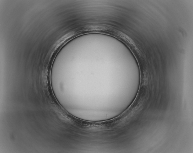 X0000113360786200910061039