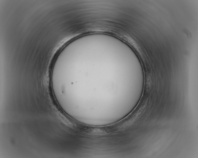 X0000113360787200910061039