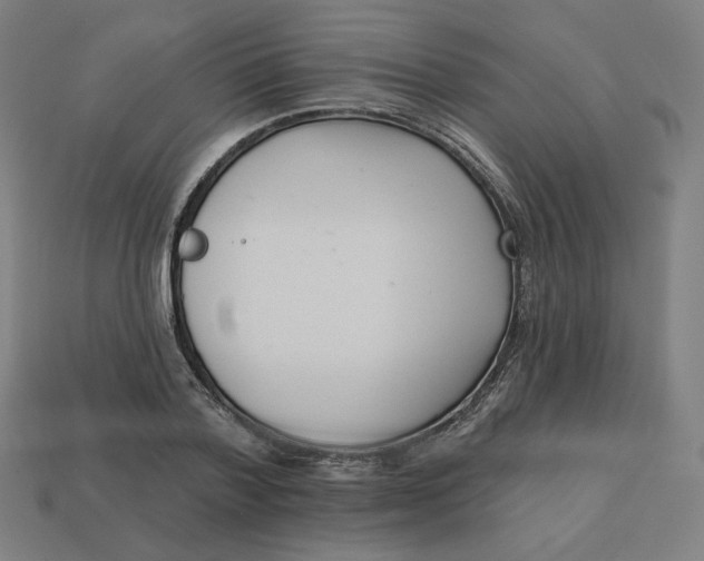 X0000113360788200910061039