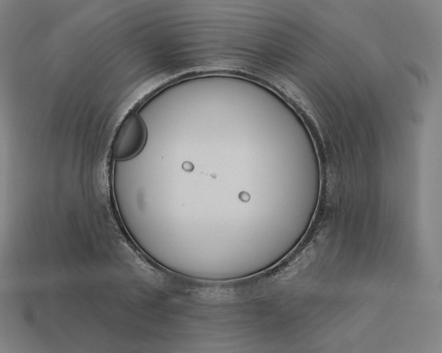 X0000113360789200910061039