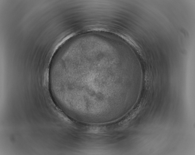 X0000113360790200910061039