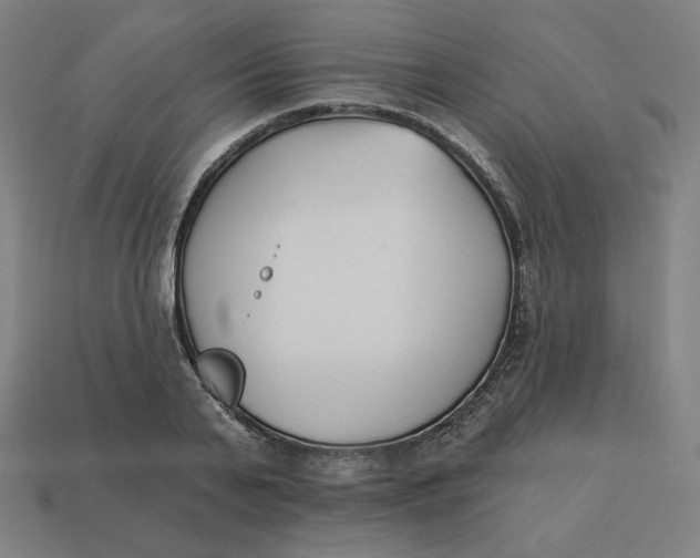 X0000113360791200910061039