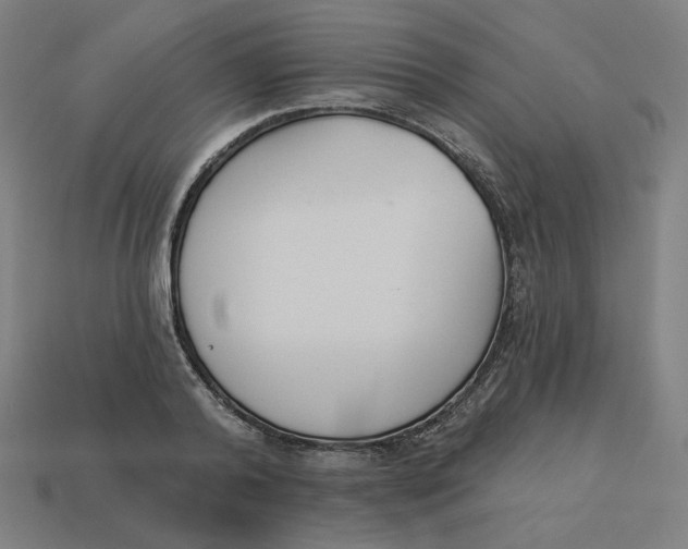 X0000113360792200910061039