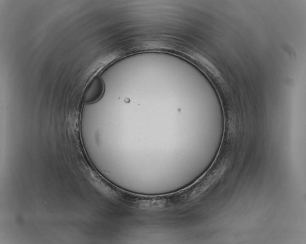 X0000113360793200910061039