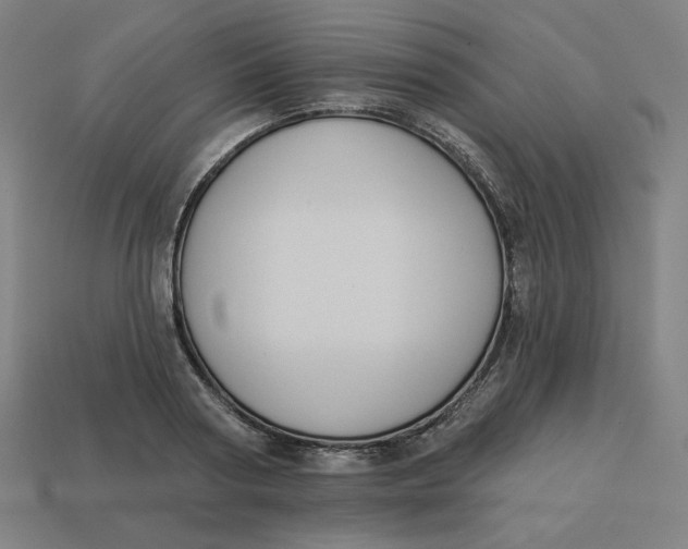 X0000113360794200910061039