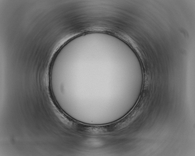 X0000113360795200910061039