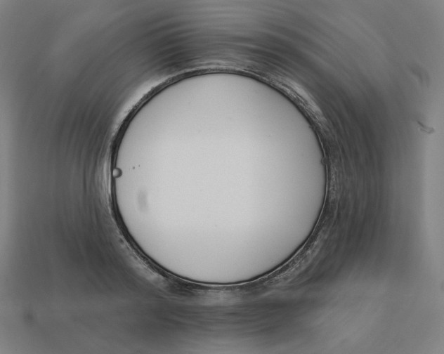 X0000113360796200910061039